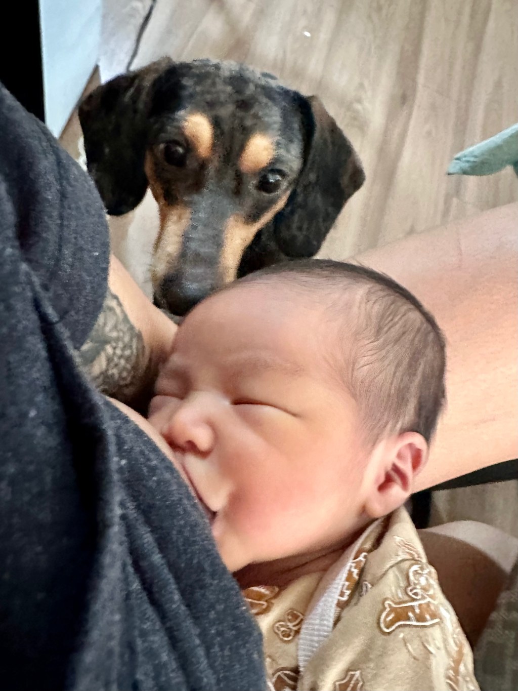 Formula Feeding with&nbsp;Confidence